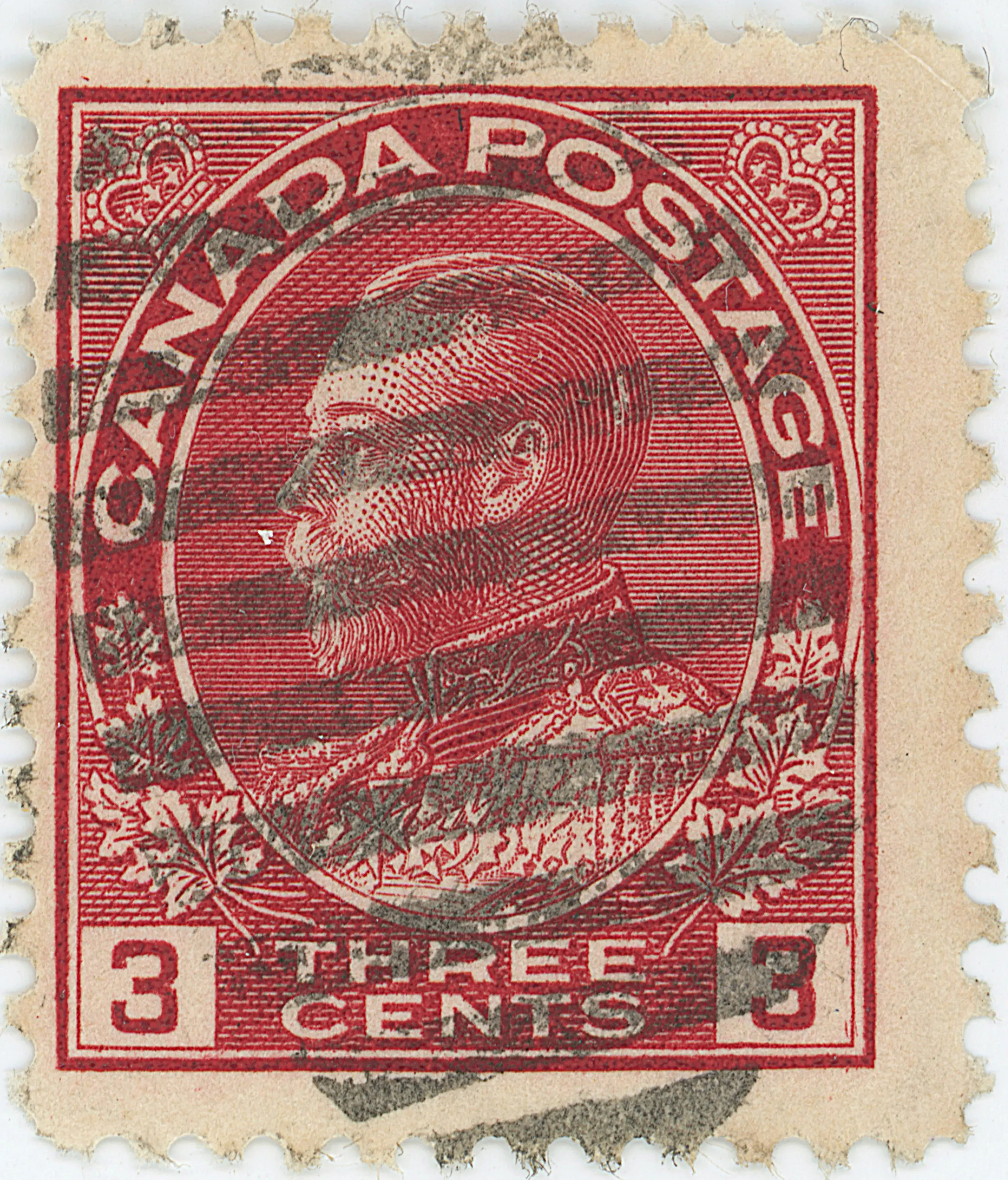 3¢C PPL F Z 2 pa b.webp